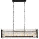 Park Row 6 Light 48 inch Matte Black and French Gold Linear Pendant Ceiling Light, Smithsonian Collaboration