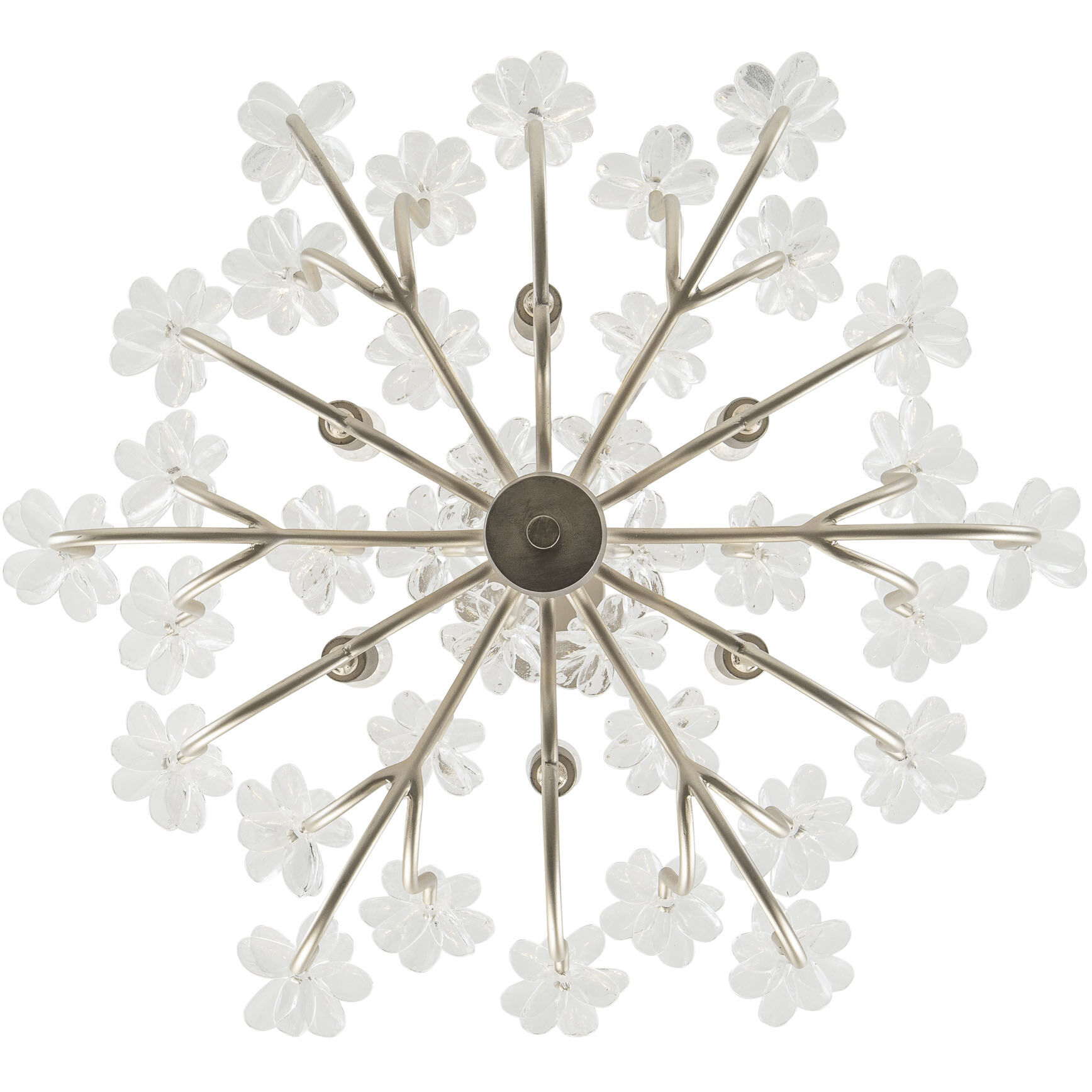 Wildflower 6 Light 26 inch Gold Dust Chandelier Ceiling Light, Smithsonian Collaboration