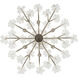 Wildflower 6 Light 26 inch Gold Dust Chandelier Ceiling Light, Smithsonian Collaboration