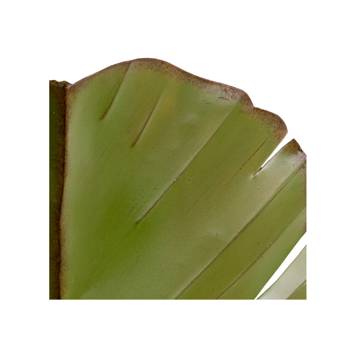 Banana Leaf Sconce Wall Light in 2