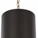 Cannery 1 Light 10 inch Dark Bronze and French Gold Mini Pendant Ceiling Light