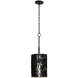 Estela 1 Light 8.5 inch Matte Black Mini Pendant Ceiling Light, Smithsonian Collaboration