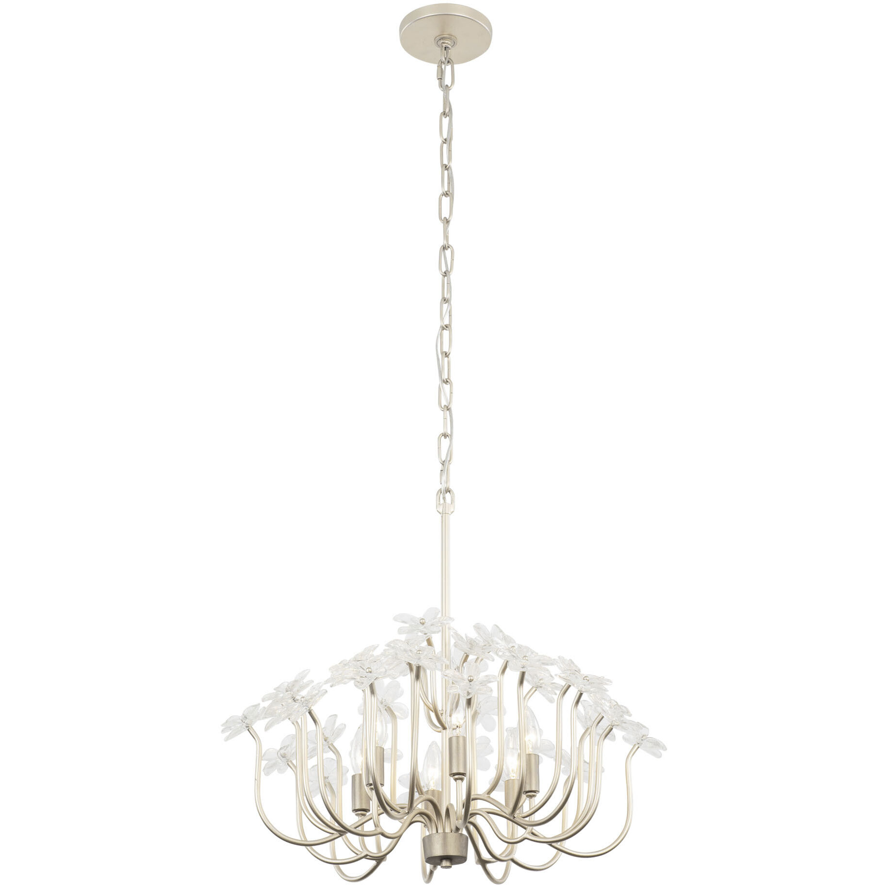 Wildflower 6 Light 26 inch Gold Dust Chandelier Ceiling Light, Smithsonian Collaboration