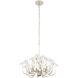 Wildflower 6 Light 26 inch Gold Dust Chandelier Ceiling Light, Smithsonian Collaboration
