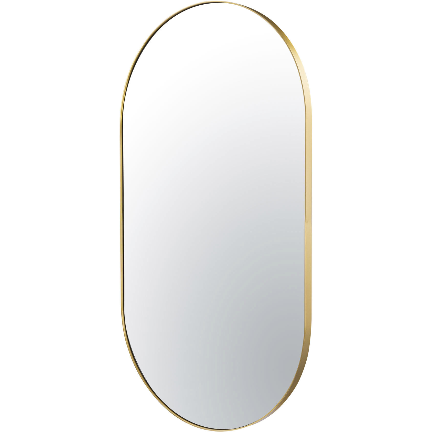 Capsule 40 X 22 inch Gold Wall Mirror