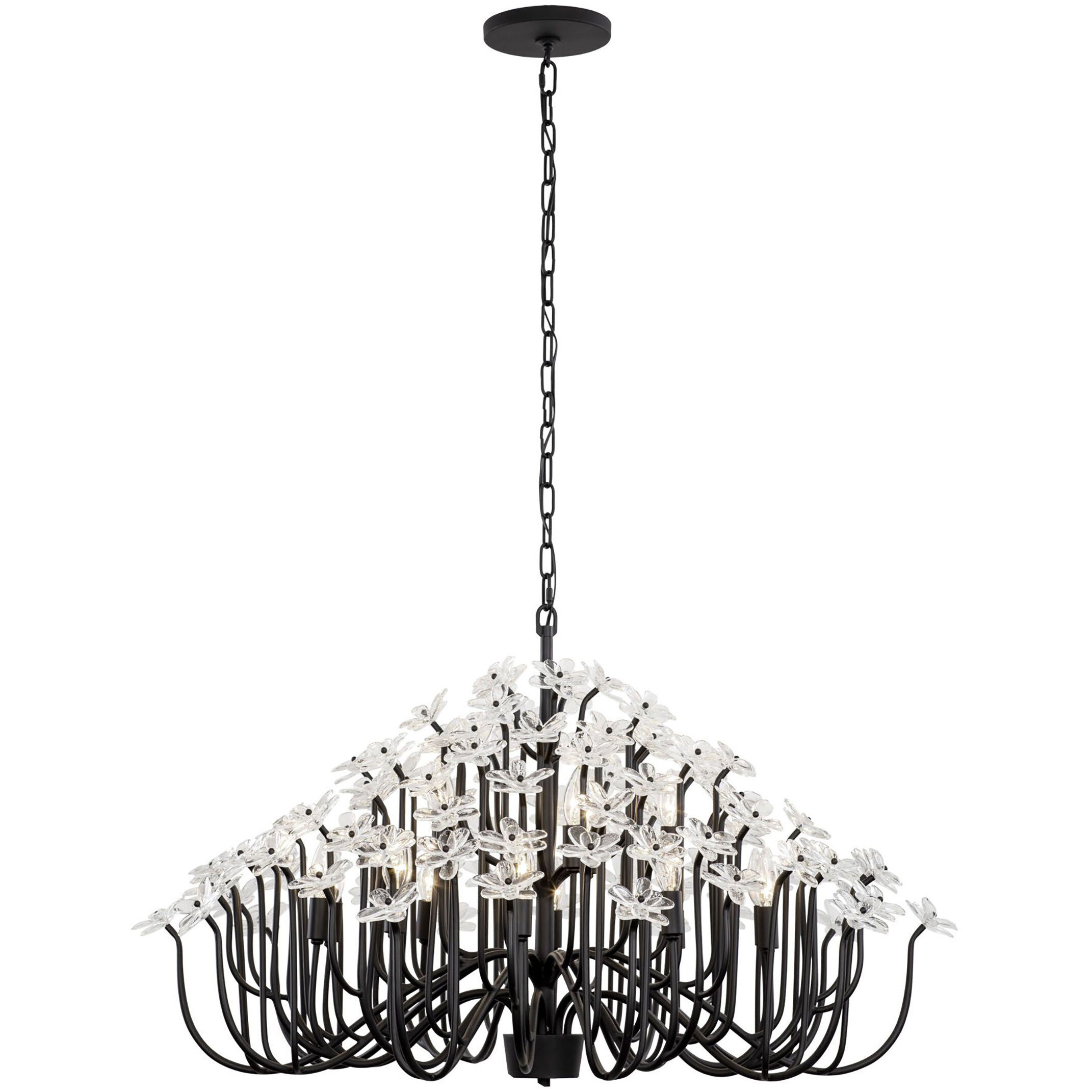 Wildflower 15 Light 40 inch Matte Black Chandelier Ceiling Light, Smithsonian Collaboration
