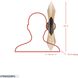 Aristocrat 2 Light 4.5 inch Dark Bronze and French Gold Wall Sconce Wall Light