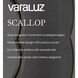 Scallop 36 X 36 inch Gray Shagreen with Weathered Brass Wall Mirror, Varaluz Casa