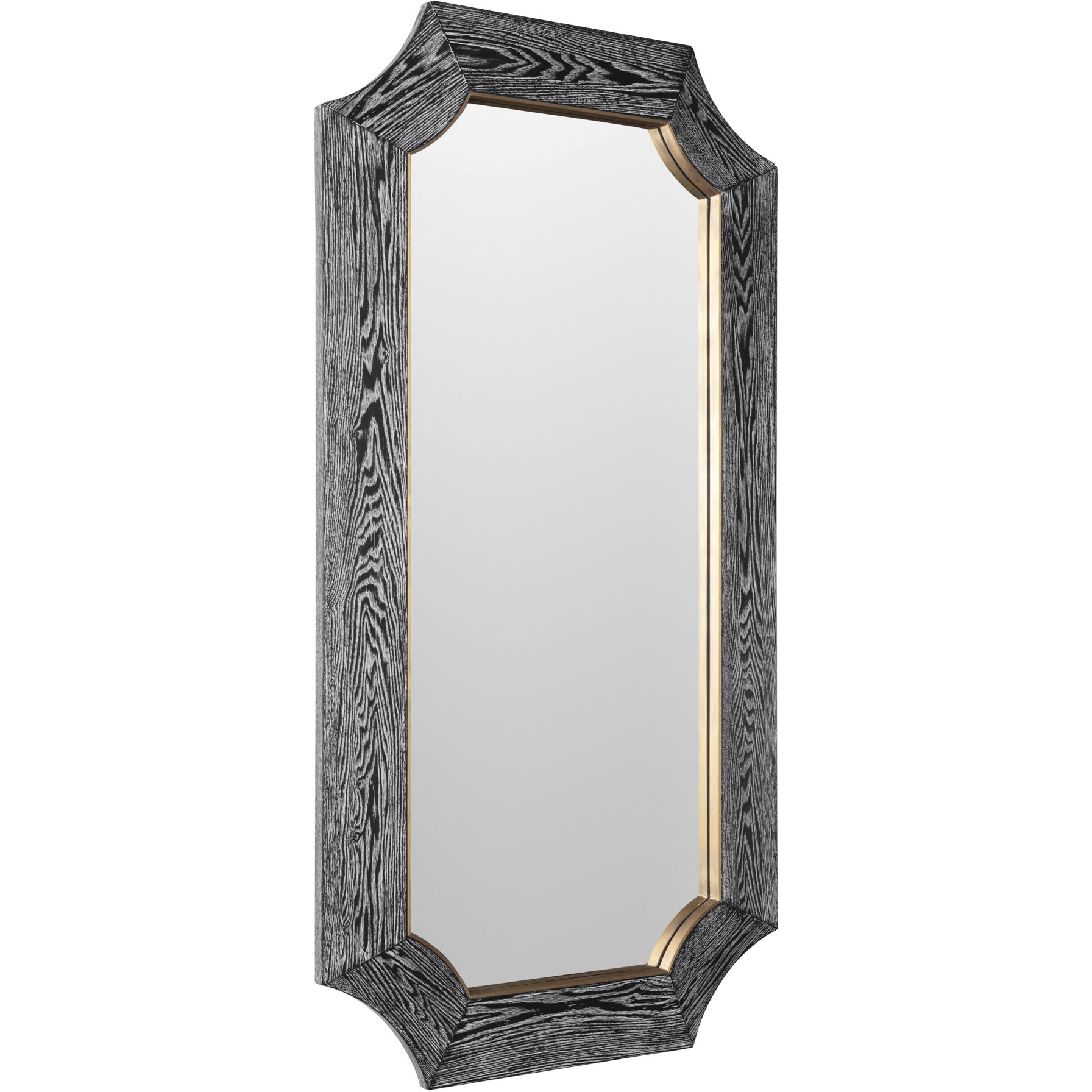Farra 54 X 28 inch Cerused Black with Weathered Brass Wall Mirror, Varaluz Casa