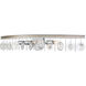 Charmed 3 Light 33 inch Silver with Champagne Mist Bath Vanity Wall Light
