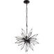 Orbital 8 Light 22 inch Carbon Pendant Ceiling Light