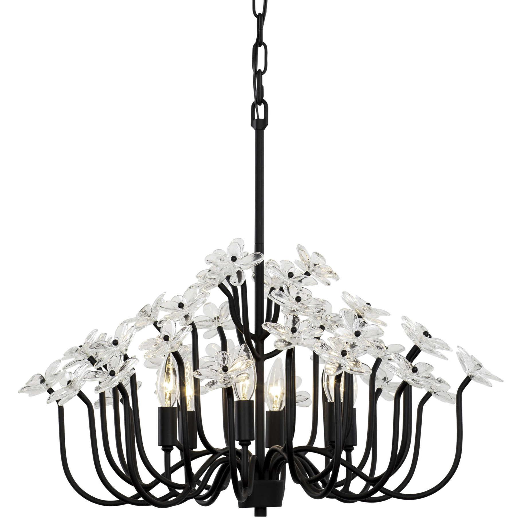 Wildflower 6 Light 26 inch Matte Black Chandelier Ceiling Light, Smithsonian Collaboration