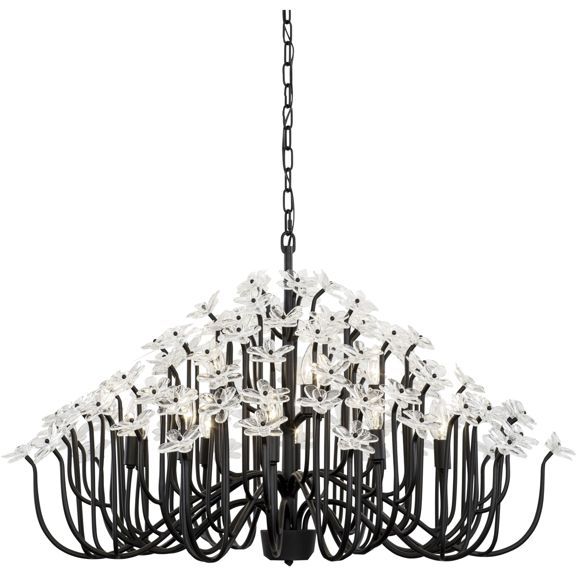 Wildflower 15 Light 40 inch Matte Black Chandelier Ceiling Light, Smithsonian Collaboration
