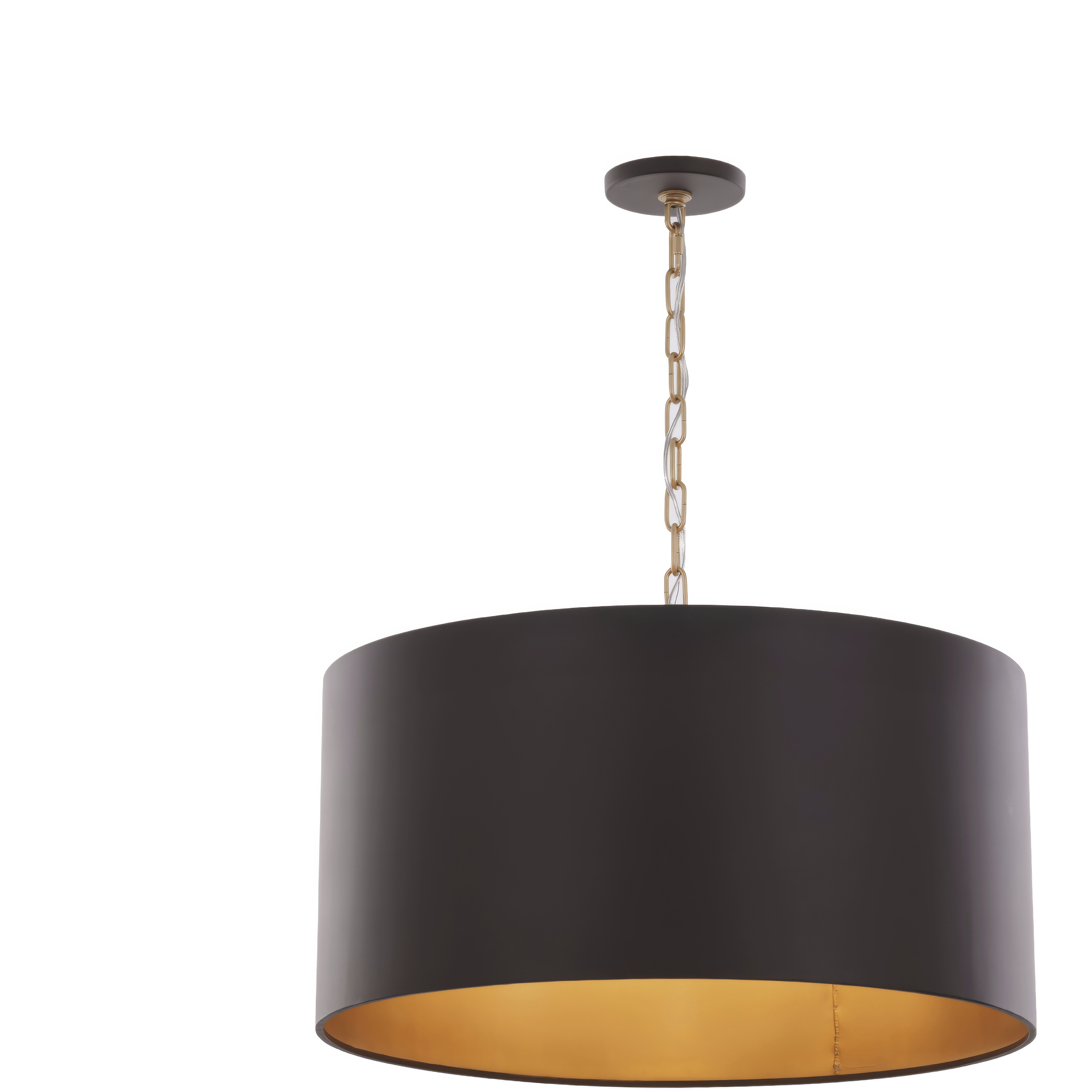 Cannery 4 Light 24 inch Dark Bronze and French Gold Pendant Ceiling Light